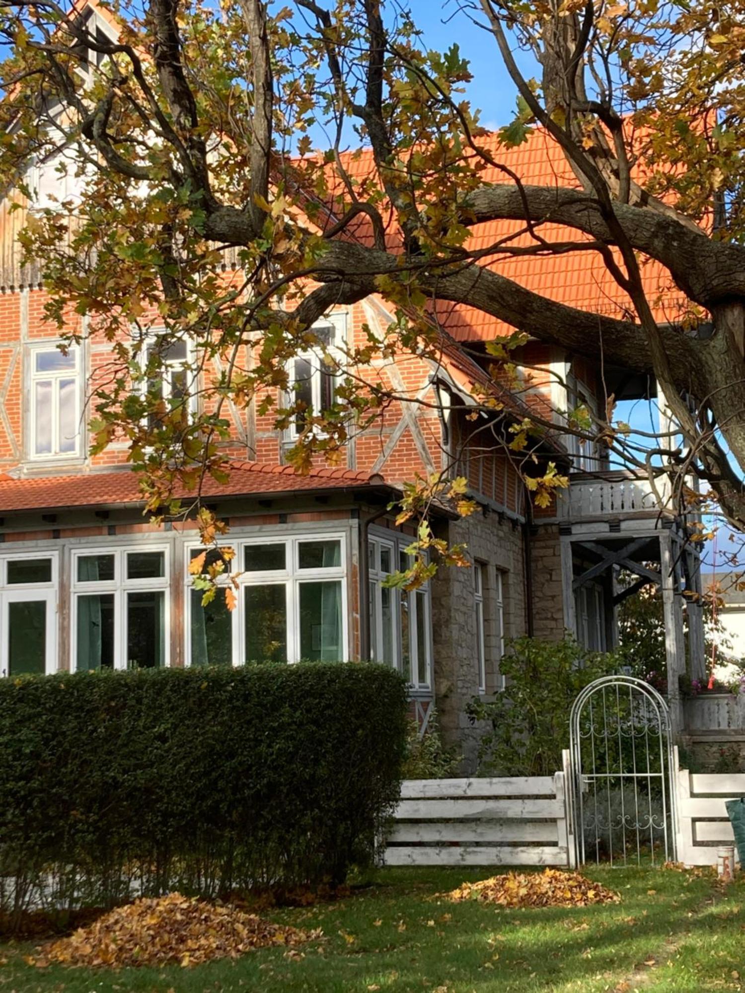 Gaestehaus Musestieg Thale Exterior foto